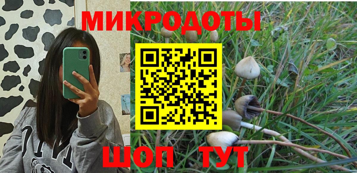 Псилоцибиновые грибы Cubensis  Вход с VPN  Ярославль 
