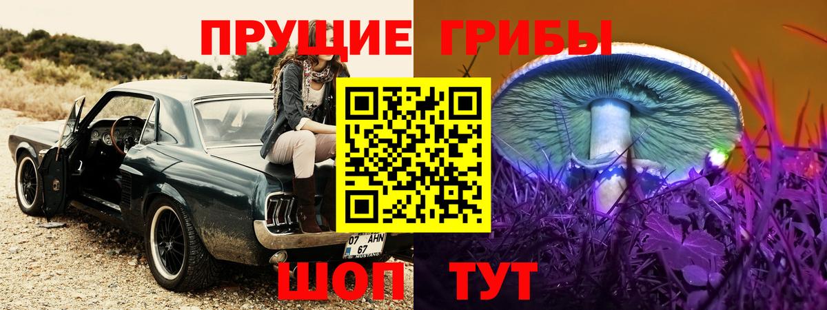 Галлюциногенные грибы Cubensis Ярославль
